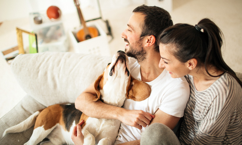 Retiree couple going over their finances, sitting at a table.